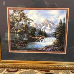 Framed Picture 