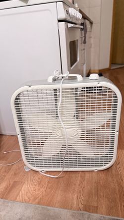 Large Fan