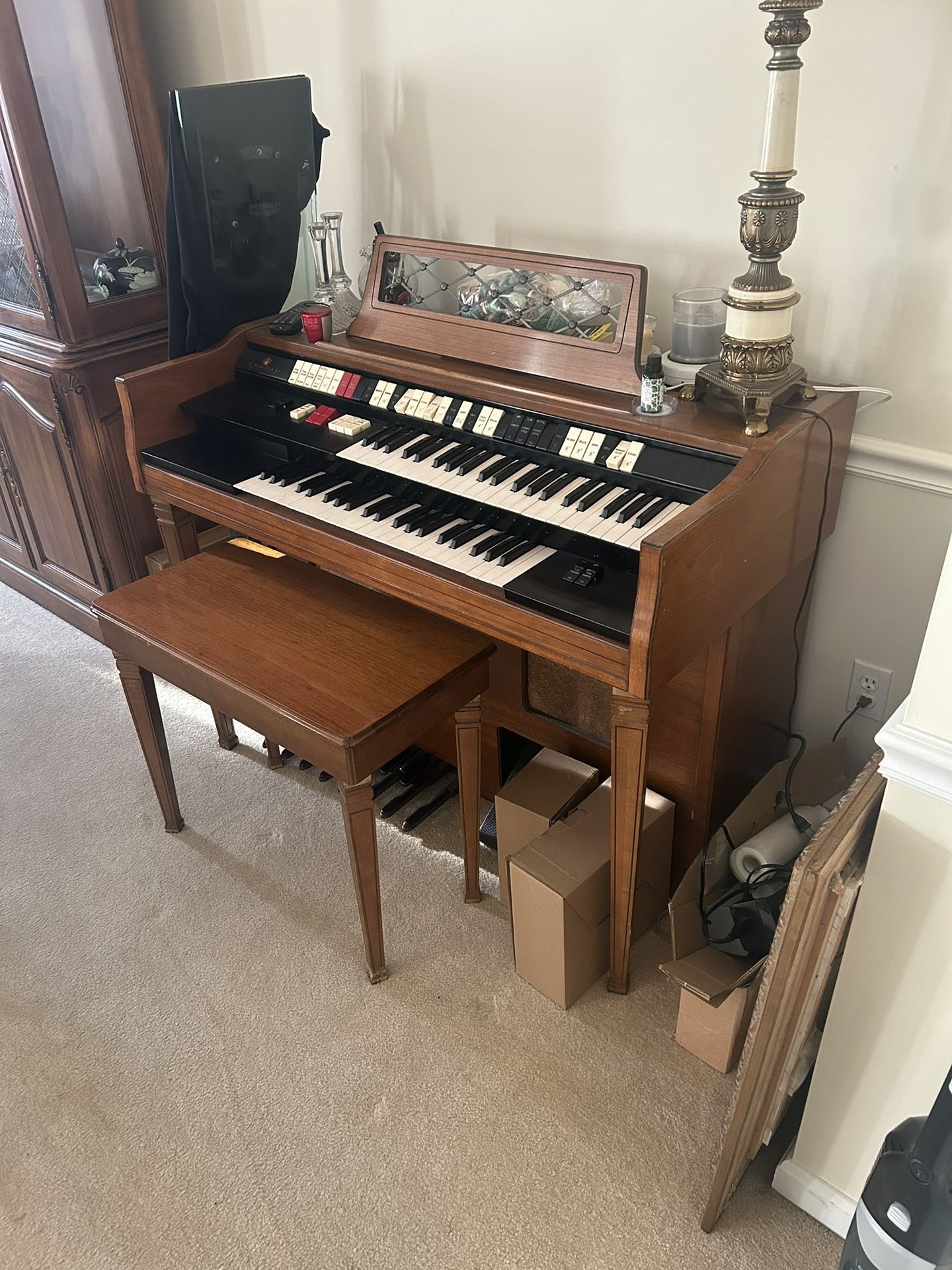Organ
