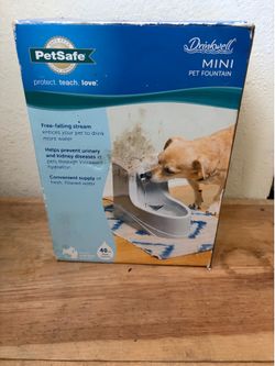Mini Pet Foundation
