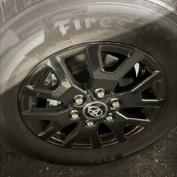 Brand New Powder Coating Rims Tacoma 2025