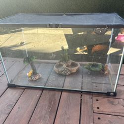 Reptile Tank 