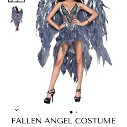 Dark angel Costume xs
