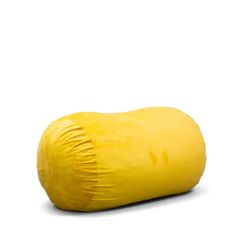 XXL Big Joe Bean Bag