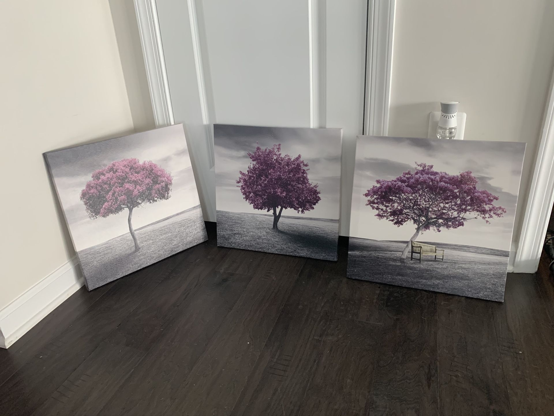 Set of 3 Wall Art Canvas frames