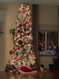 Christmas tree