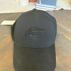 Nike Dri-FIT Legacy91 Florida Gators Hat – Black Adjustable Cap