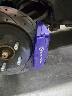 ceramic painted calibers