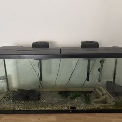 Fish tank 