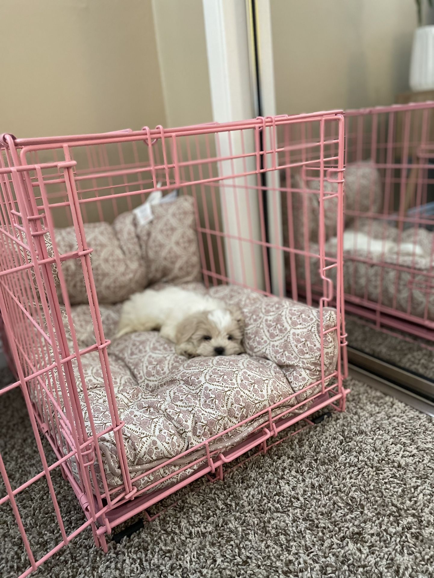 Pink Dog Crate