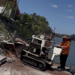 Stump Grinder, Moledora Troncos Raíces, Árboles Palmas. Trees Palms Stumps.