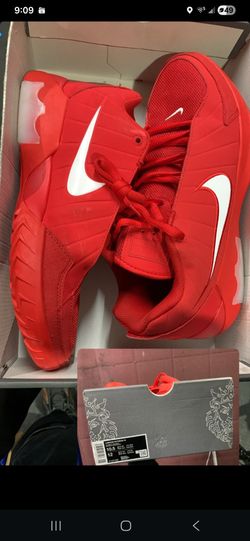 Nike shoes - Lebron Witness IX