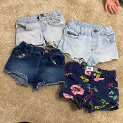 Toddler Shorts
