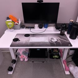 Autonomous Sit/Stand Desk