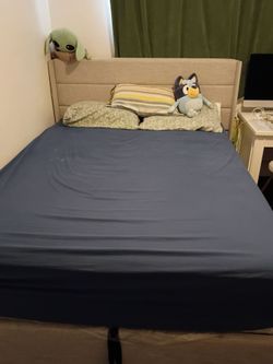 Bed Frame & Mattress