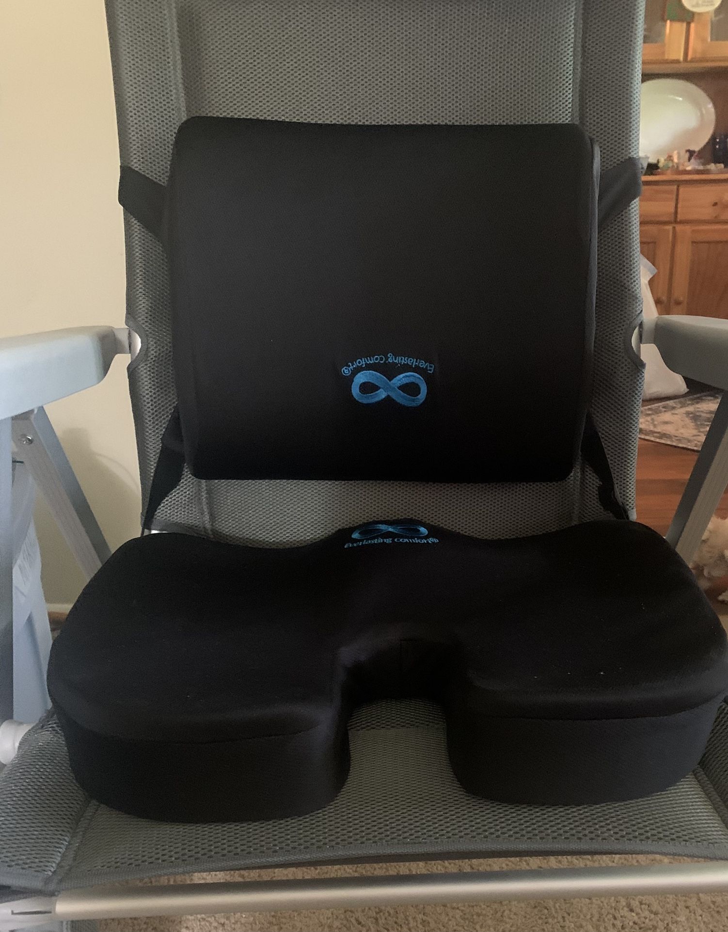 Seat and Back Cushions