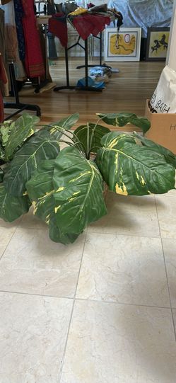 8 plants faux