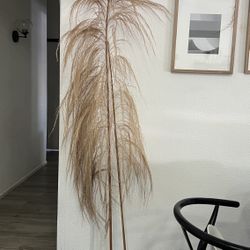 2 Piece Tall Dried Pampas / Uva Stalk