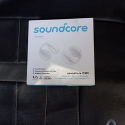 Soundcore C30i