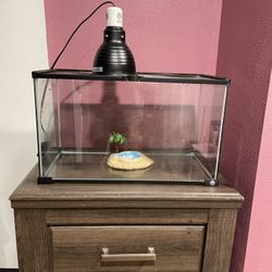 10 Gallon Reptile Tank And Light