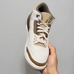 Air Jordan 3