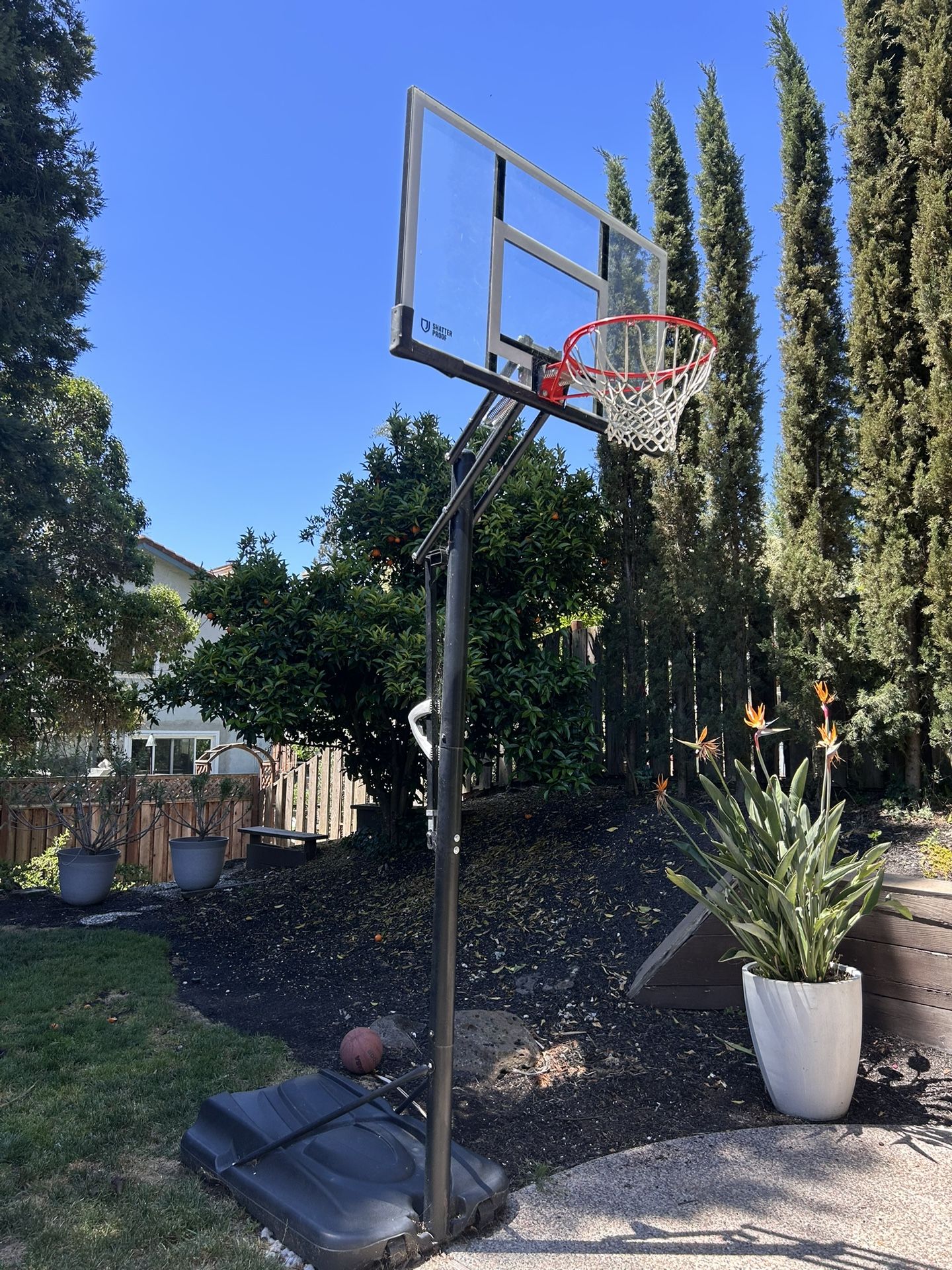 Basketball Hoop