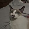 Gina 