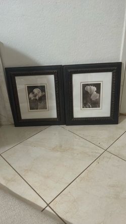 Set of 2 Framed Black & White Floral Prints