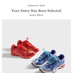 ASICS Gel-Nimbus 10.1 