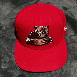 Grizzlies (Marvel) 71/8