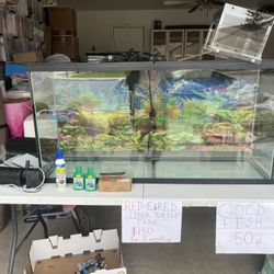 Tank Turtle/Fish