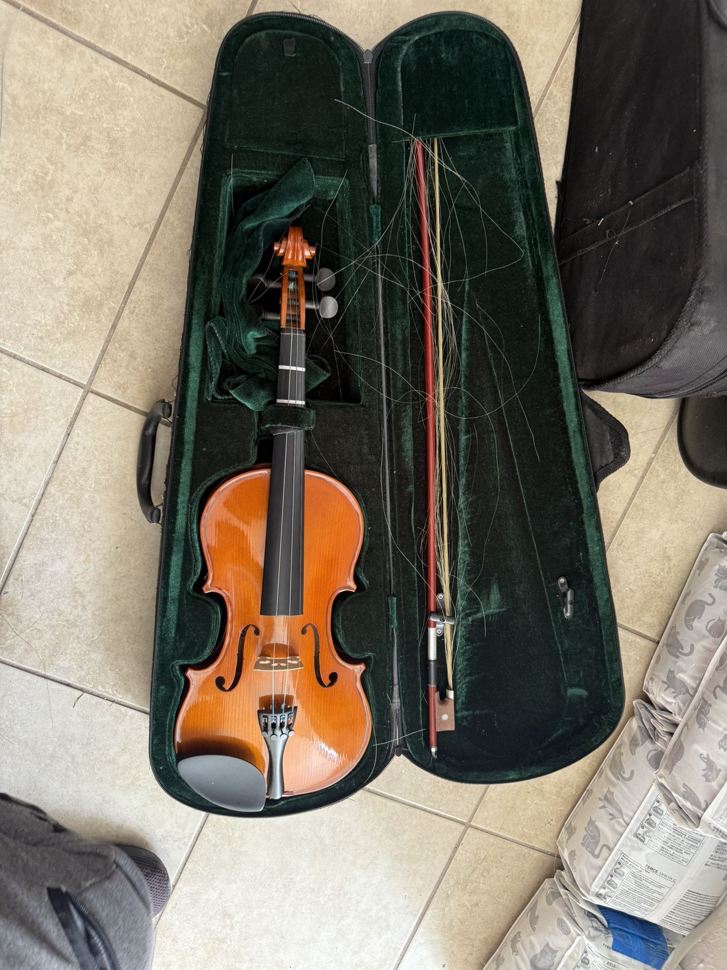 Violin