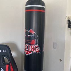 Punching Bag For Kids 