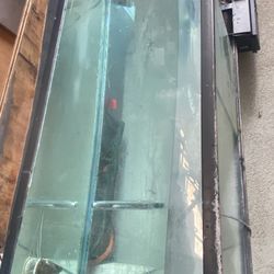 Fish Tank!
