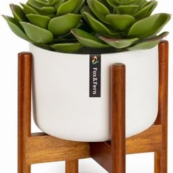 Fox & Fern Ceramic Wood Desktop Planter 8.5”x3.5” 