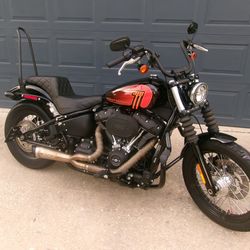 2021  HD Street Bob