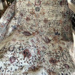 New Area Rug. 6x9