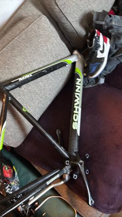 Schwann bike frame only