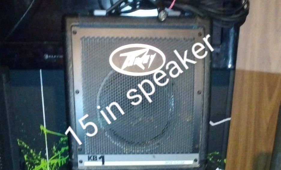 Peney Speaker