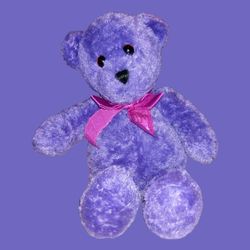 1999 Princess Diana Bean Bag Bear 