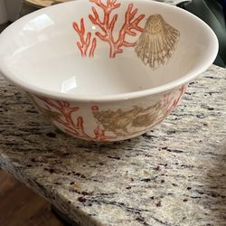 Sea Shell Bowl. 