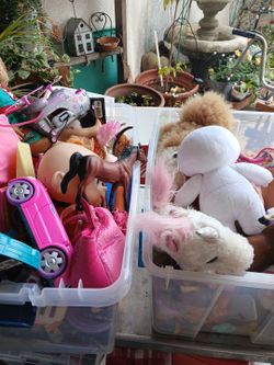2 boxes of boys and 1 bag  full  of stuff animals