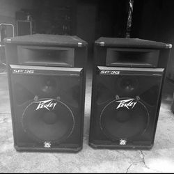 Peavey SP3G Speakers (2)