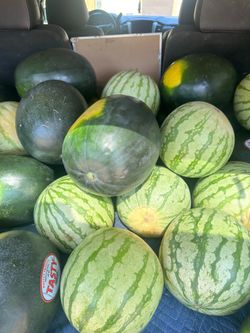 East Texas black diamond & orange crush watermelons