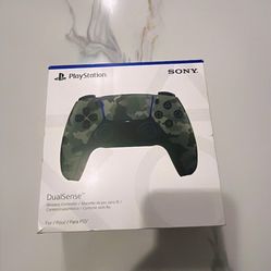 PS5 Controller