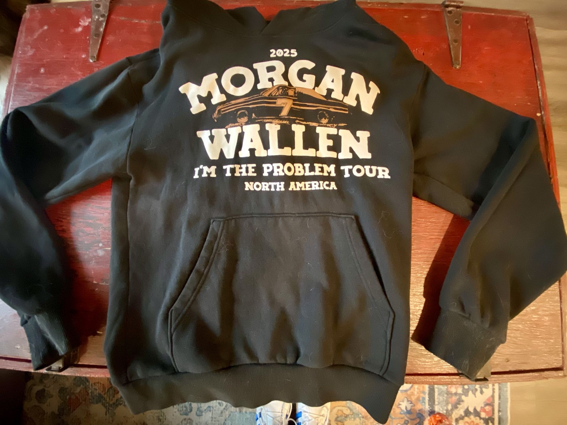 🔥 Morgan Wallen Hoodie – “I’m The Problem Tour 2025” (Size Small) 🔥