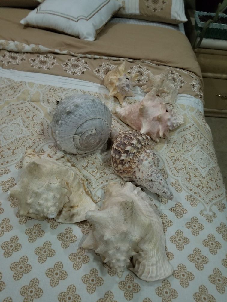 Decoration