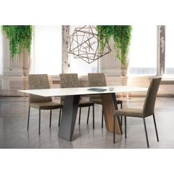 Modern Dining Table