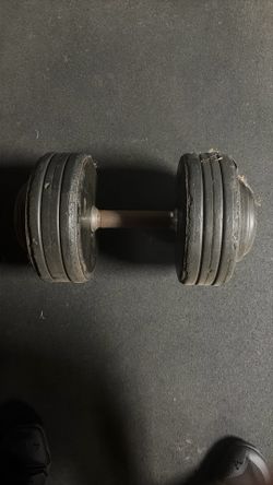Dumbbell Pair