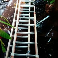 Ladder 15 Foot 